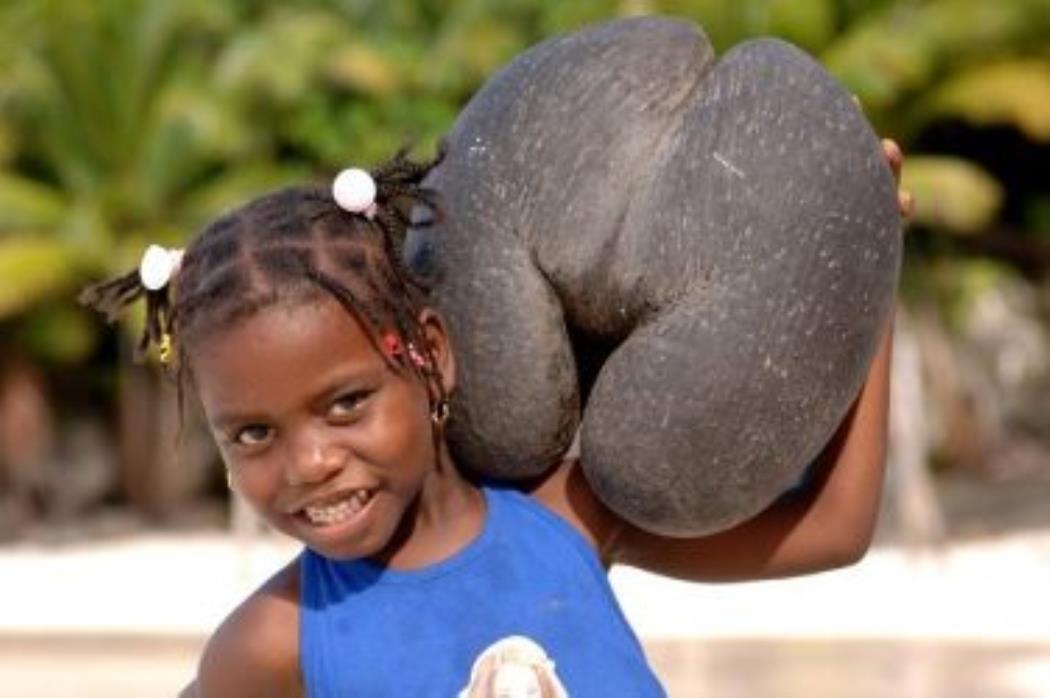 Seychelles_child