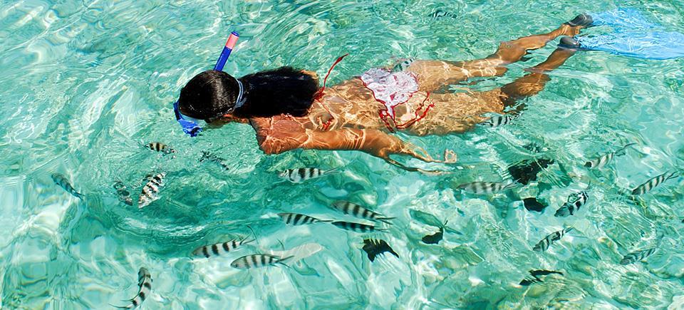 Seychelles_diving