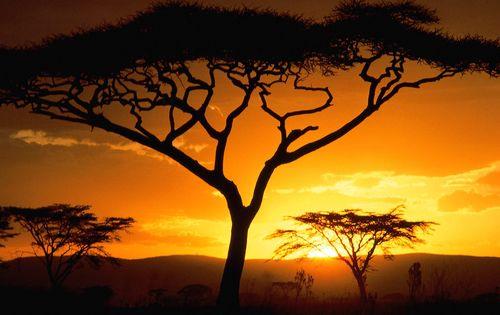 Zanzibar_sunset