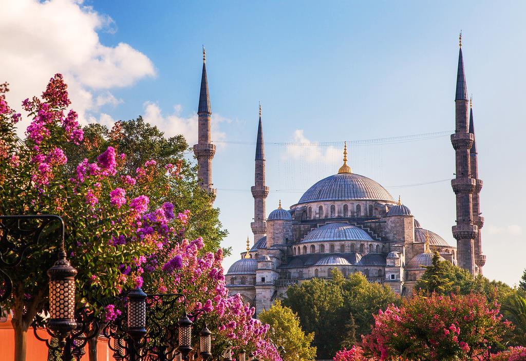 turkey
